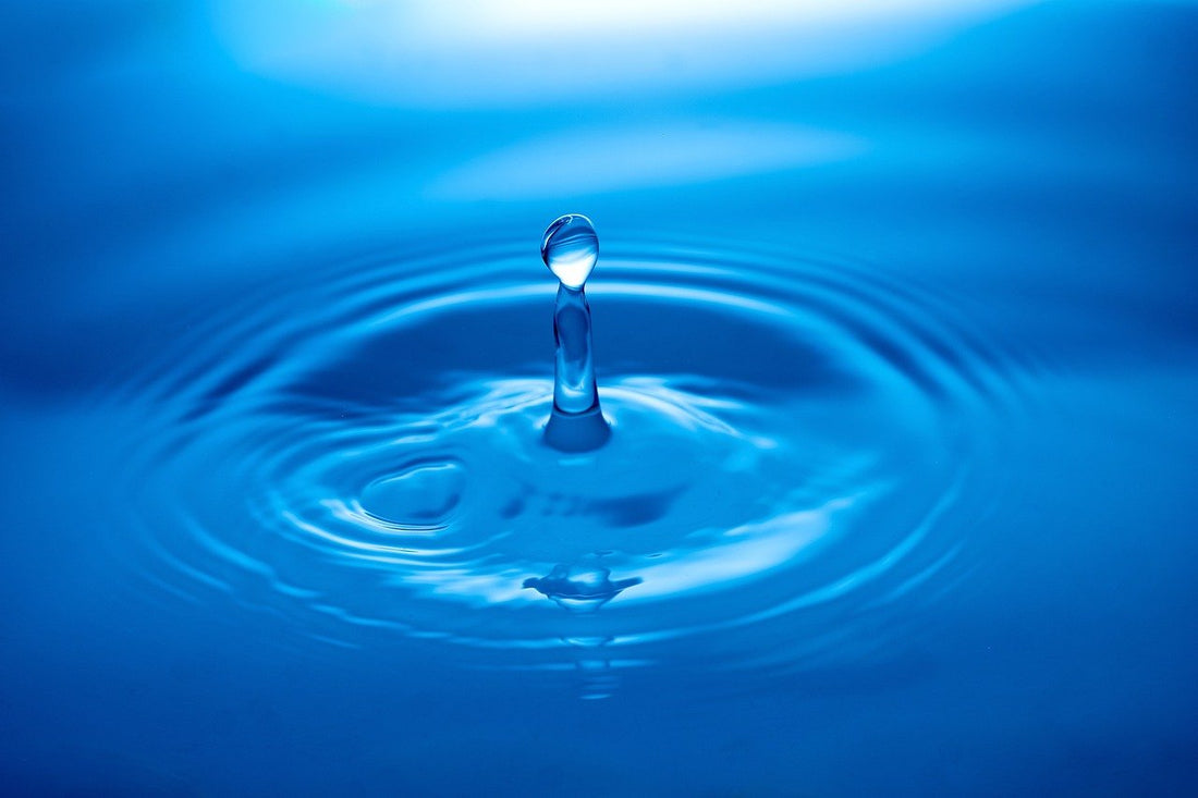 Water Quality