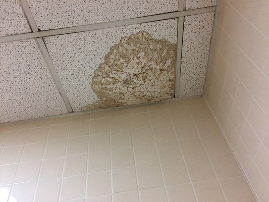 Water Damage Statistics