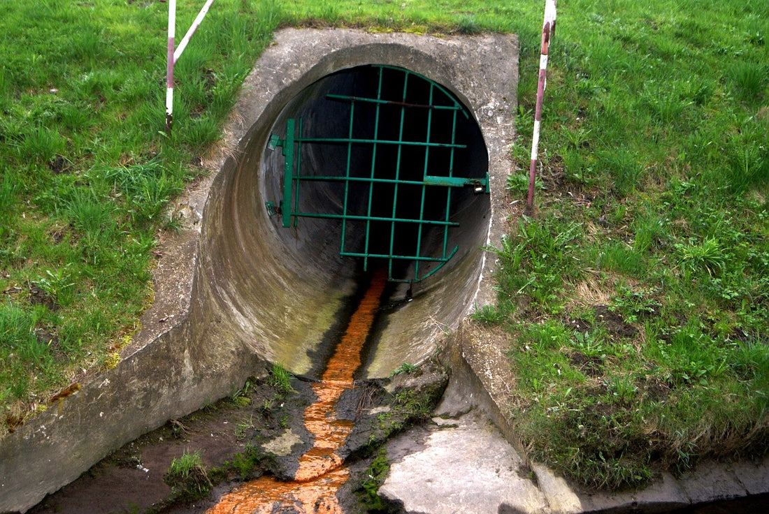 Viruses (enteric) in Drinking Water: Causes, Effects, and Solutions