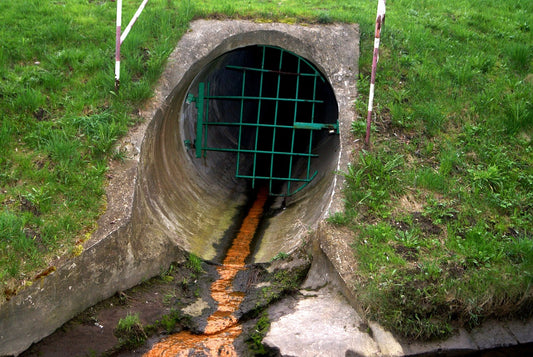 Viruses (enteric) in Drinking Water: Causes, Effects, and Solutions