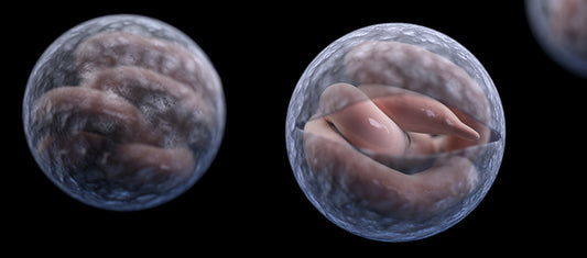 Cryptosporidium in Drinking Water: Risks, Detection, and Prevention
