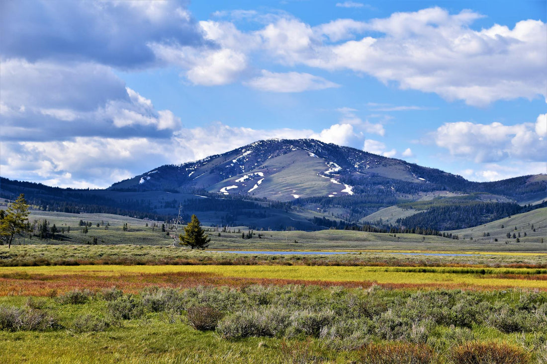 Water Hardness in Montana Cities