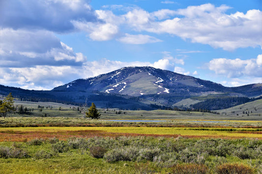 Water Hardness in Montana Cities