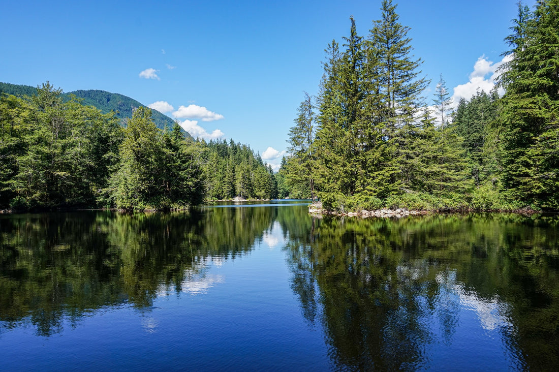 What is Smart Water Management?