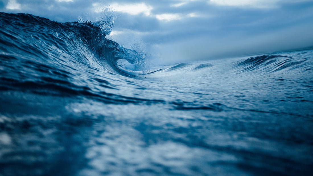 What Is Saltwater Intrusion?