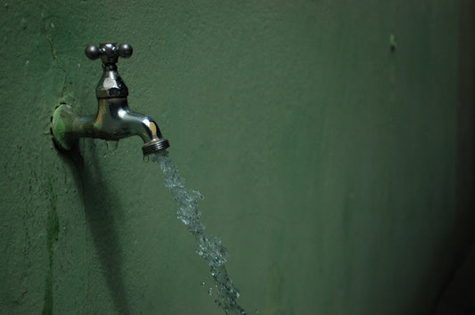 How To Handle Water Damage Cleanup & Prevent It Next Time