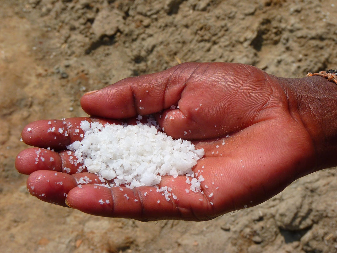 Water Softener Pellets vs Crystals