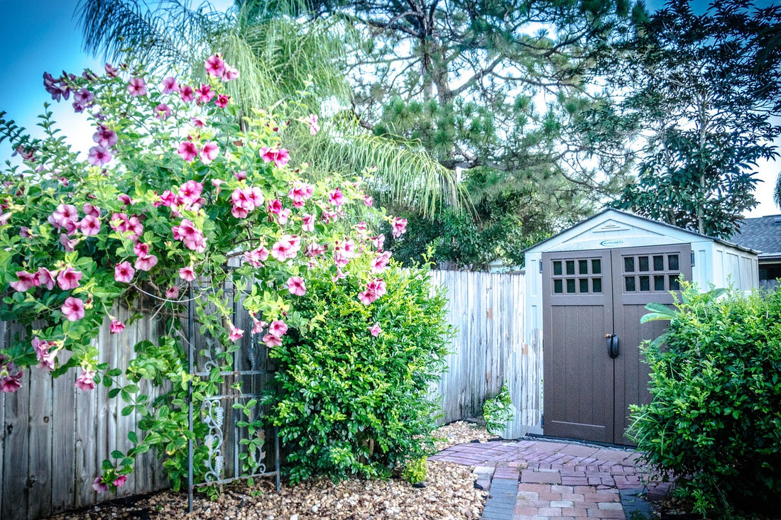Can Water Softeners Be Installed Outside?