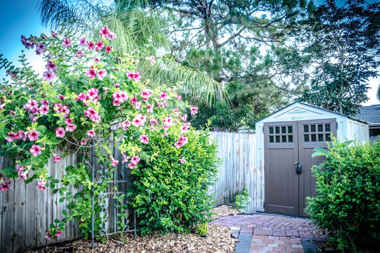 Can Water Softeners Be Installed Outside?