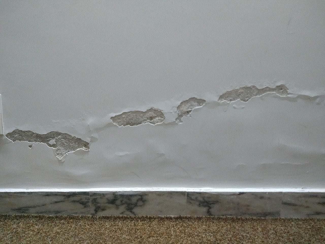 How to Find and Repair Water Leaks in Your Home – DROP Connect