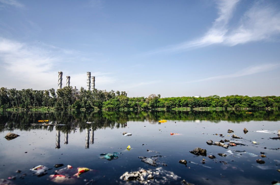 National Primary Drinking Water Regulations List of Contaminants