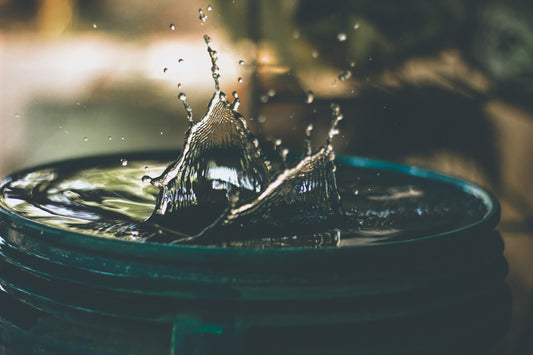 Water Softener vs Water Filter: What You Need To Know