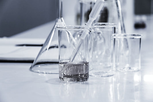 professional water testing