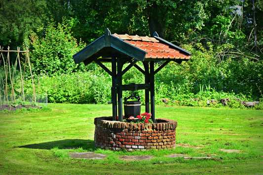 How To Choose the Right Iron Filter for Well Water